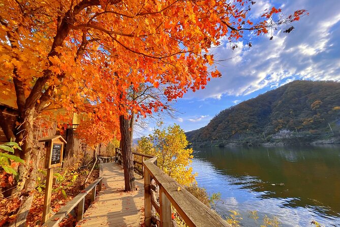 Full Day Private Tour Nami Island, Garden & Petite France - Lunch between the island and the villages