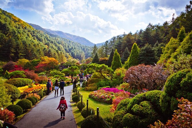 Full Day Private Tour Nami Island, Garden & Petite France - Pinocchio and Da Vinci for the final major stop