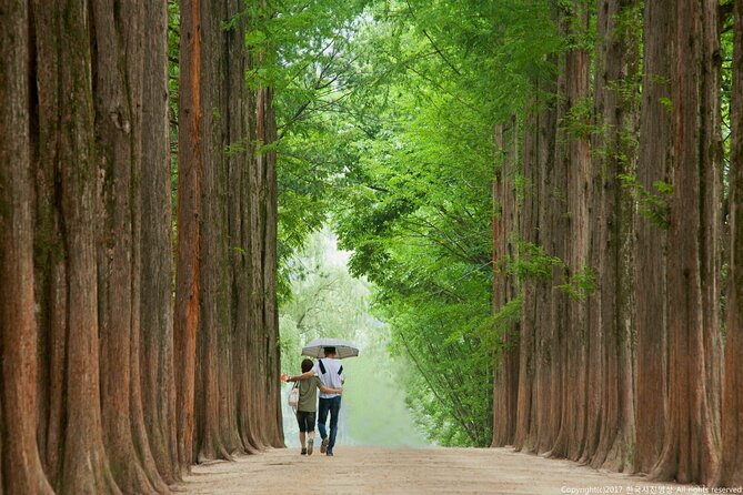 Full Day Private Tour Nami Island, Garden & Petite France - Who will get the most from this tour