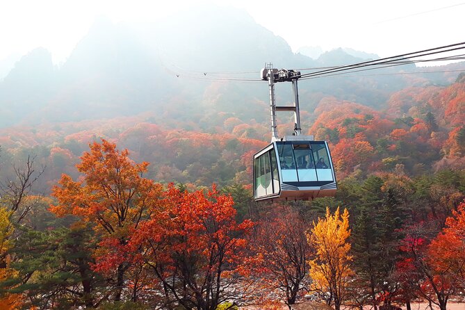 Full-Day Tour in Mt. Seorak & Nami (+Rail Bike Option) - Shinheungsa Temple adds meaning to the mountain visit