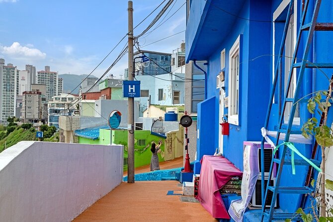 Full-Day Tour Unmissable things to do in Busan - Price, transport, and what you really receive