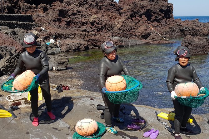 Fully Customizable Private Tour of Jeju Island - Manjanggul Lava Tube and Jeju’s volcanic story