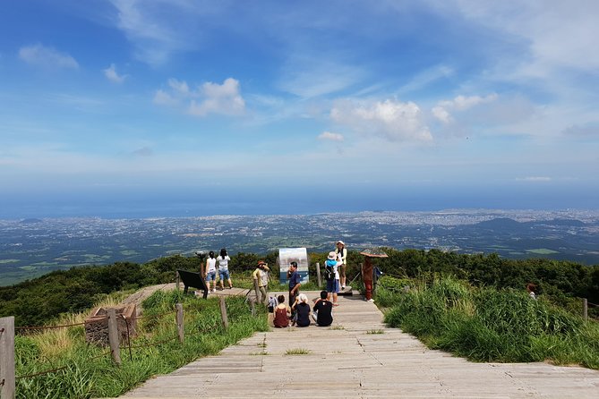 Fully Customizable Private Tour of Jeju Island - What the private vehicle changes