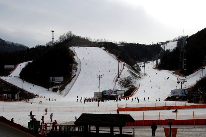 Gangchon Elysian Ski Day Trip from Seoul - Lunch and time at the resort