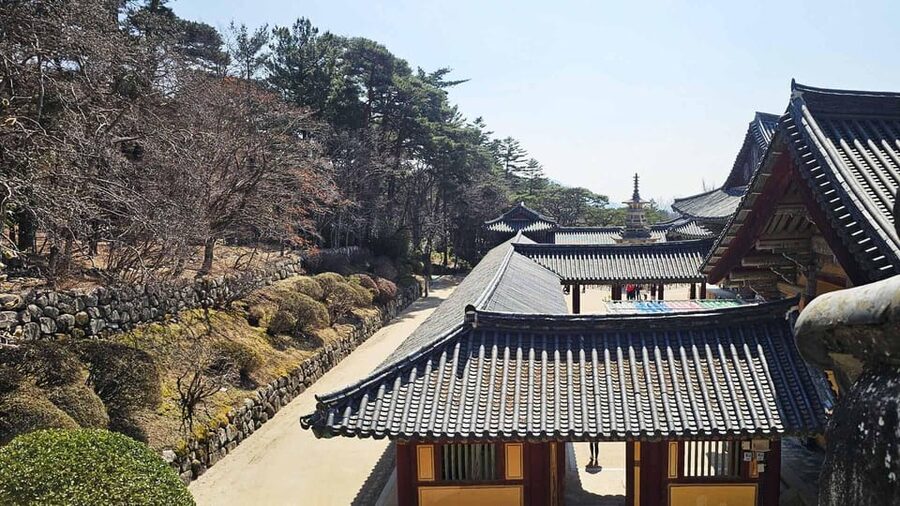 Gyeongju: Private Car Charter Taxi Tour - Cheomseongdae, royal tombs, and old city streets