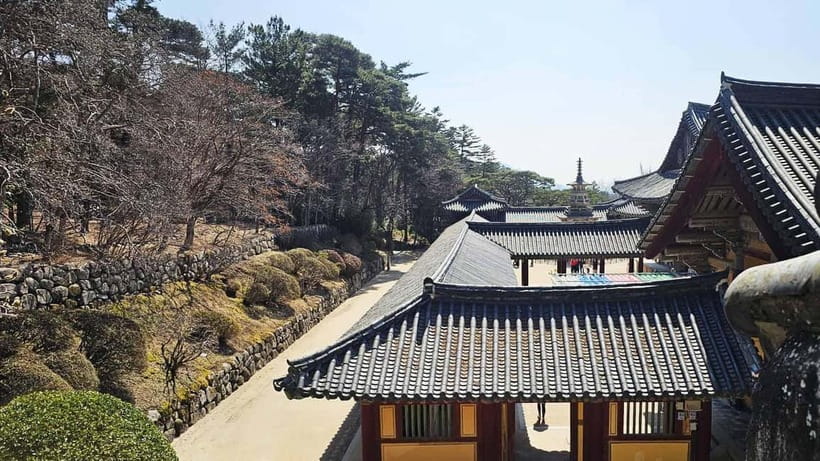 Gyeongju: Private Car Charter Taxi Tour - Night touring in three hours