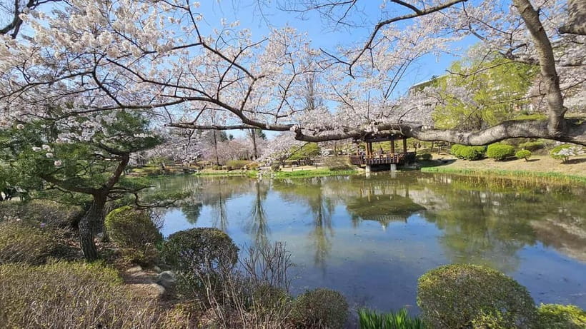 Gyeongju: Private Car Charter Taxi Tour - Making the most of your custom route