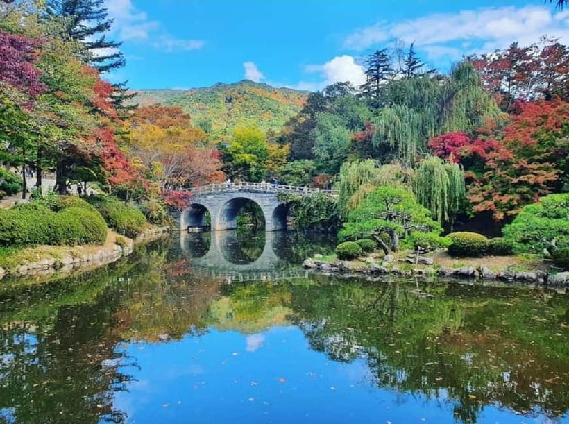 Gyeongju: Private Car Tour with a Licensed Tour Guide - Why private transport matters in Gyeongju