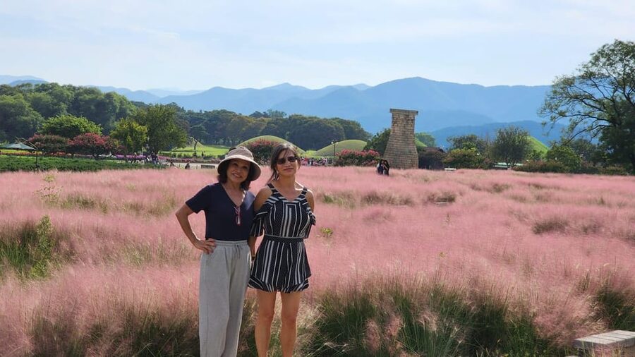 Gyeongju: Private Car Tour with a Licensed Tour Guide - Cheomseongdae, Silla science in a small package