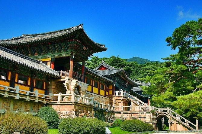 Gyeongju Private Tour with hidden gem by local tour guide - Why Gyeongju works as a day from Busan