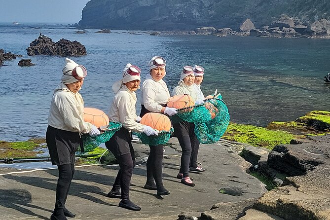 Half or Day Tour For Cruise customers arriving at Gangjeong Port - Seopjikoji and the eastern coast