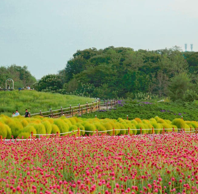 Hantan Canyon & Goseokjeong Flower Garden & Pink Muhly Park - Key points at a glance