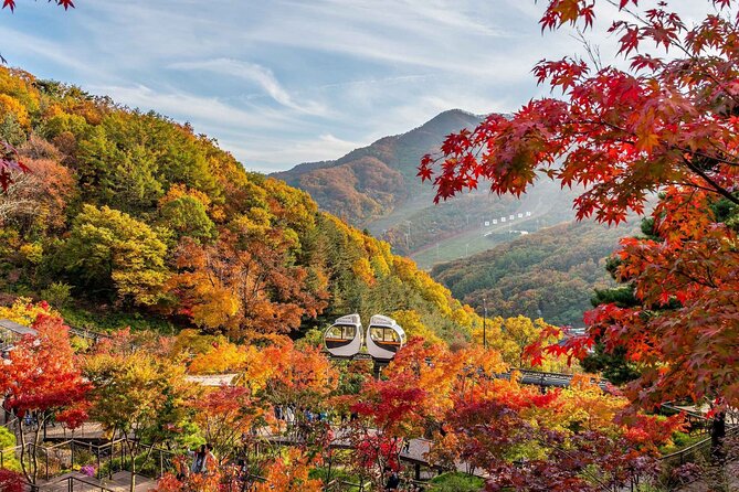 Hwadam Botanic Garden and Namhansanseong and Folk Village Trip - Key points to know before booking