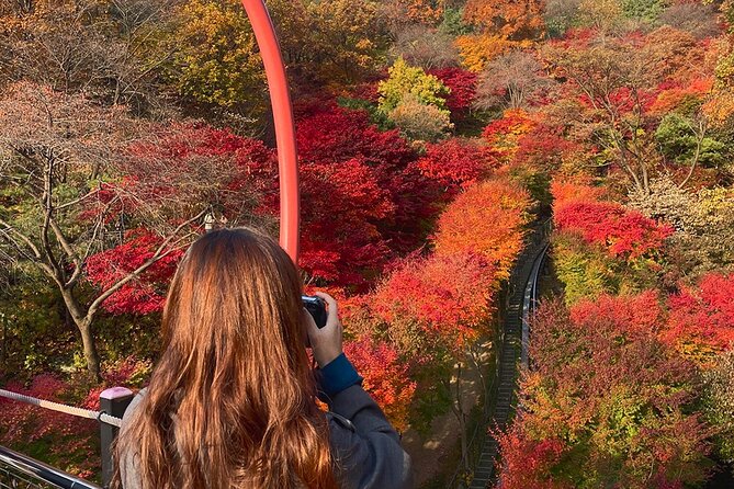Hwadam Botanic Garden and Namhansanseong and Folk Village Trip - Three very different sides of Korea in one day