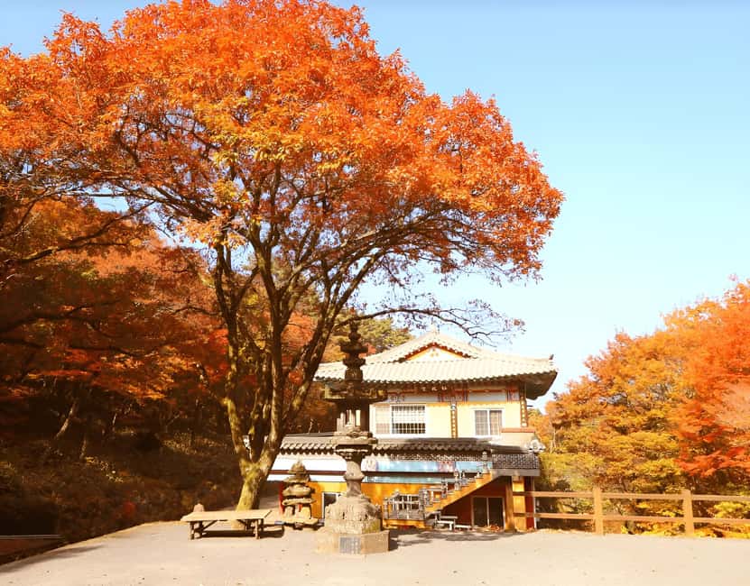 Jeju: 2026 Autumn Tour with Pink Muhly Festival Hotel Pickup - Seongsan Ilchulbong and Jeju’s haenyeo tradition