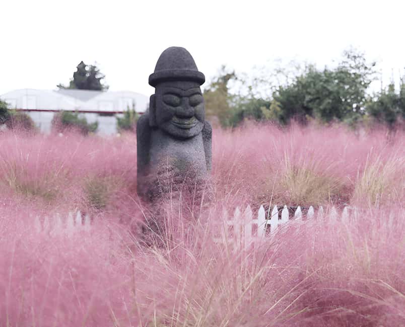 Jeju: 2026 Autumn Tour with Pink Muhly Festival Hotel Pickup - Cheonwangsa Temple and Hallasan’s autumn color