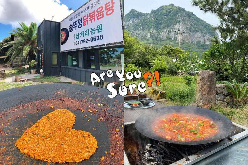 Jeju: BTS Are You Sure?! Filming Locations Private Taxi Tour - What the eight-hour route adds