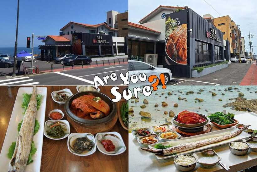 Jeju: BTS Are You Sure?! Filming Locations Private Taxi Tour - The drivers can shape the day