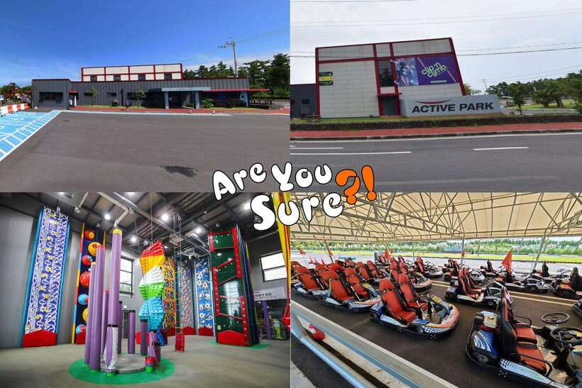 Jeju: BTS Are You Sure?! Filming Locations Private Taxi Tour - Is $228 a fair price?