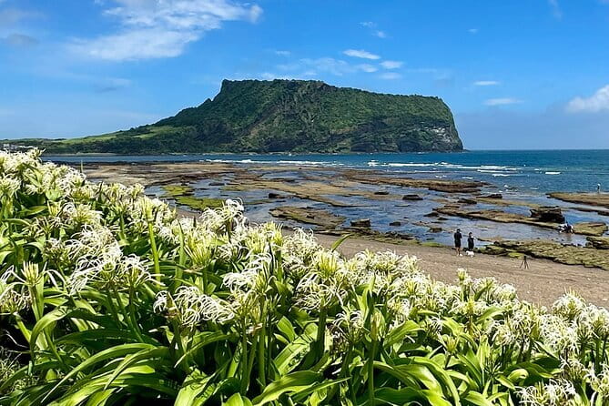 Jeju BTS & K-drama Fans Small Group Tour incl. Snoopy Garden - Gwangchigi Beach and the view toward the crater