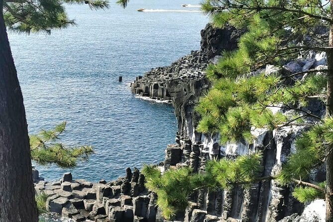 Jeju Cruise Ship gangjung Port PRIVATE tour for all group sizes - A practical shore day from Gangjeong Naval Port