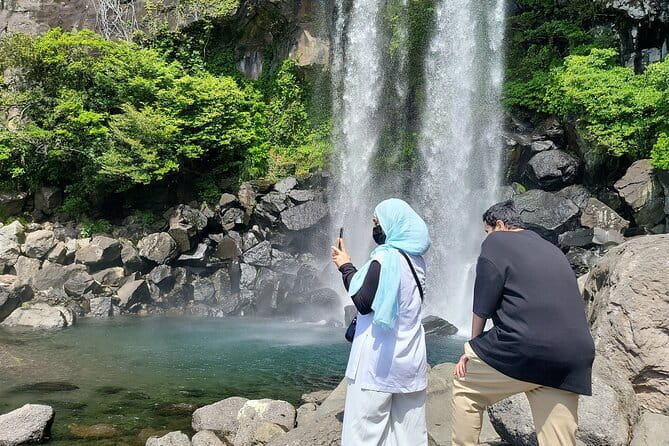Jeju Customize Private VAN Tour of East or West or South (~8pax) - Camellia Hill brings color and easy walking