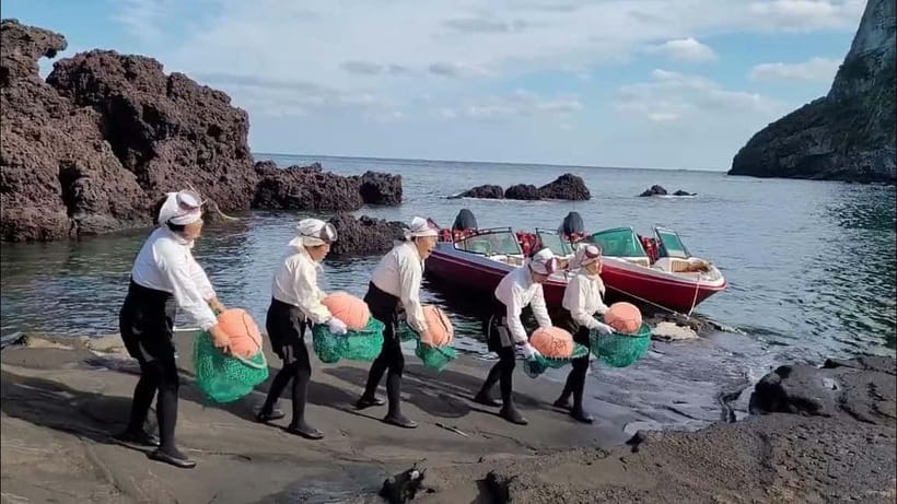 Jeju: Customized Private Vehicle Day Tour - Western Jeju: beaches, gardens, and family attractions