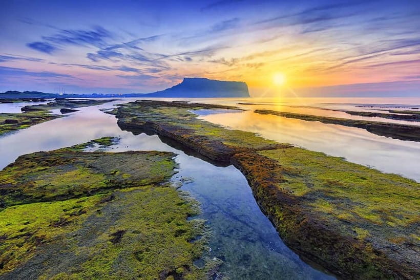 Jeju: Customized Private Vehicle Day Tour - Eastern Jeju: sunrise coast, caves, and forest stops