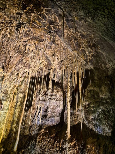 Jeju: Customized Shore Excursions For Up To 7 People - UNESCO and natural sites worth prioritizing