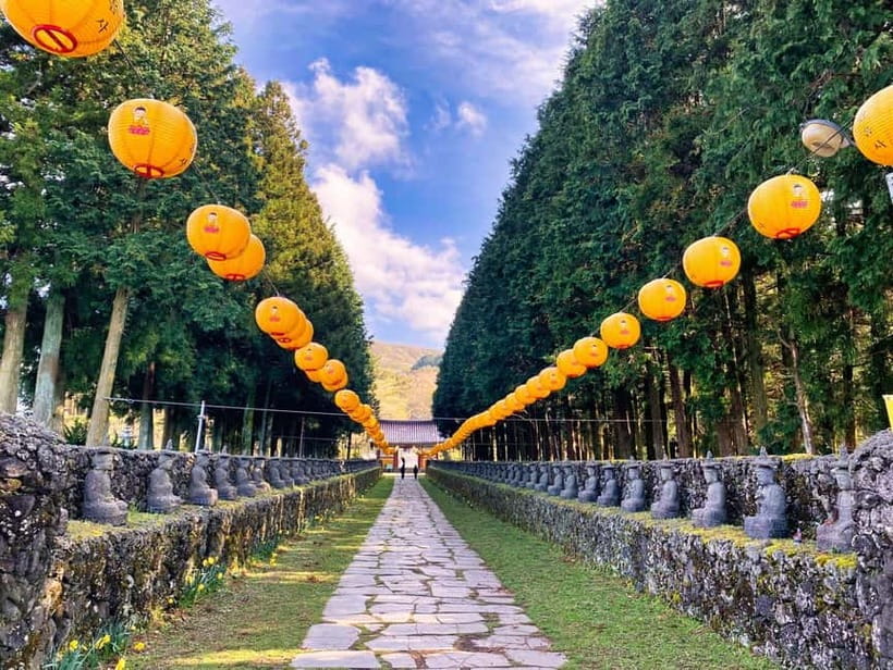 Jeju: Customized Shore Excursions For Up To 7 People - Who should book this Jeju shore excursion?