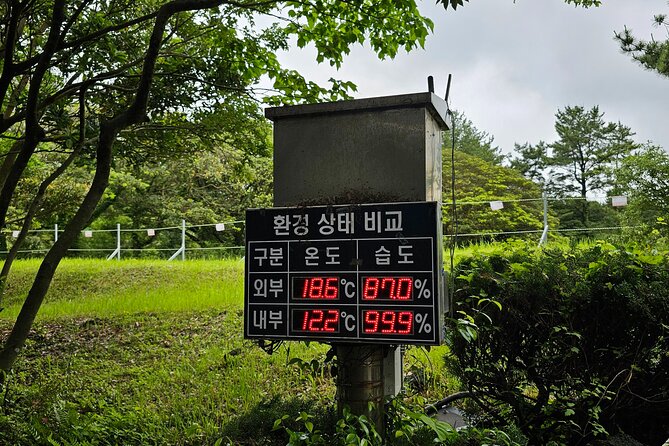 Jeju Day Tour - World Heritage & UNESCO - Cheonjiyeon Falls and Jeongbang Falls