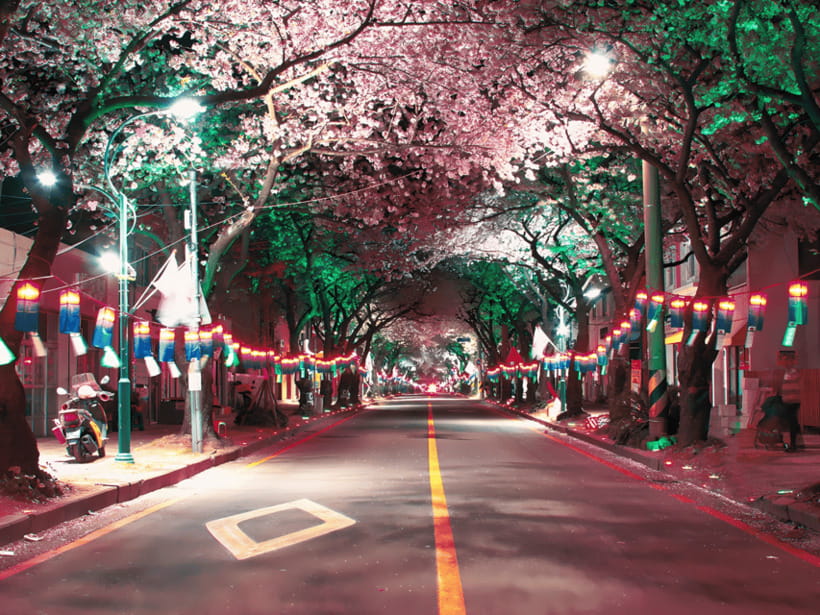 Jeju East: Cherry Blossom Early Bird Tour with Hotel Pickup - Ilchul Land and the Micheongul Cave question