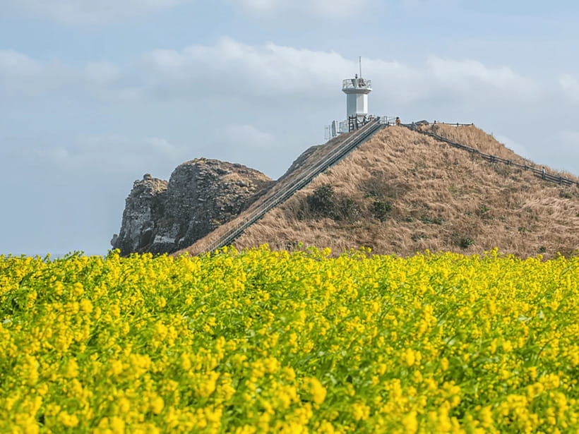 Jeju East: Cherry Blossom Early Bird Tour with Hotel Pickup - Seopjikoji, Jeju’s open coastal view
