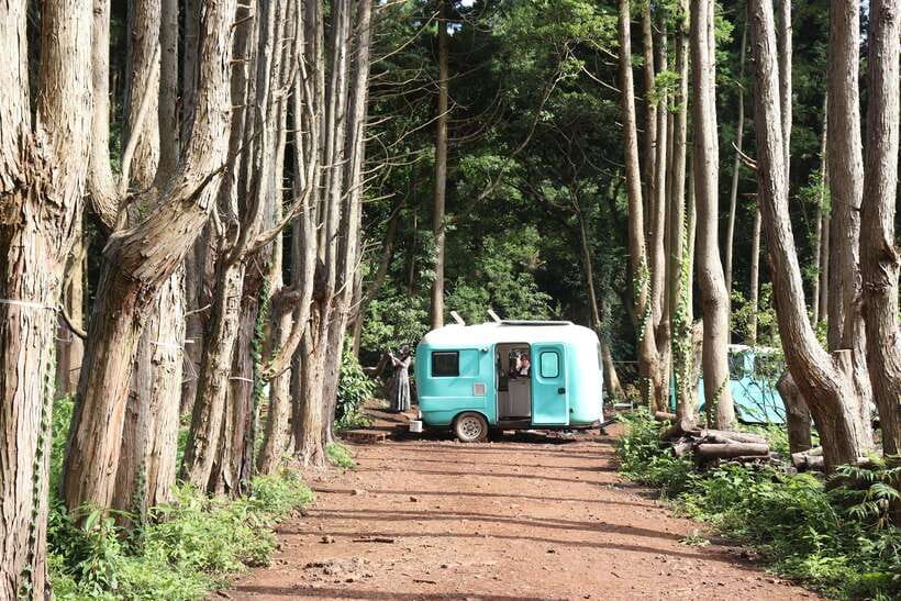 Jeju: East of Jeju Island Bus Tour from Seogwipo City - A long ride back, with useful flexibility