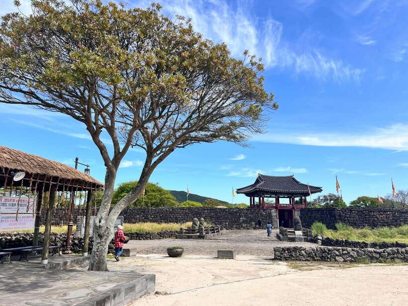 Jeju: East of Jeju Island Bus Tour from Seogwipo City - Starting from Seogwipo Maeil Olle Market