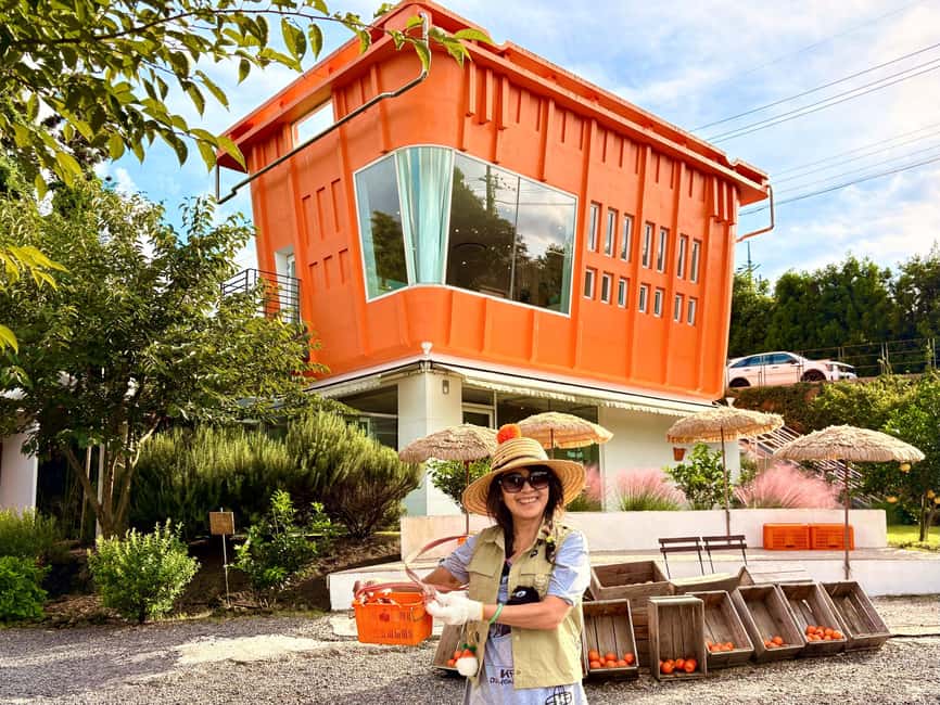 Jeju East: Small Group Healing Tour w/Woman Divers Show - Key points at a glance