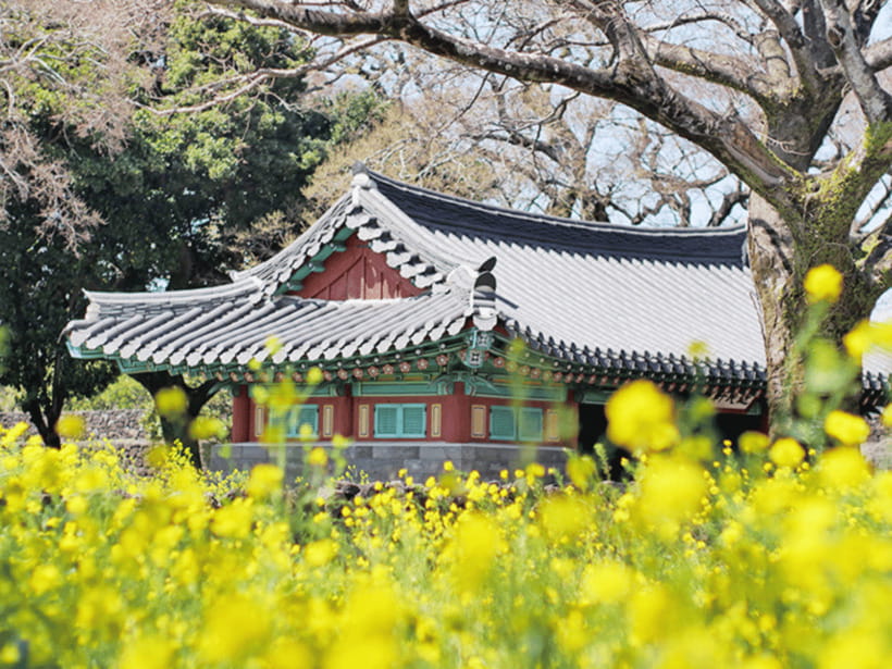 Jeju: Eastern Jeju UNESCO Spots Day Tour - Seongeup Folk Village and old Jeju life