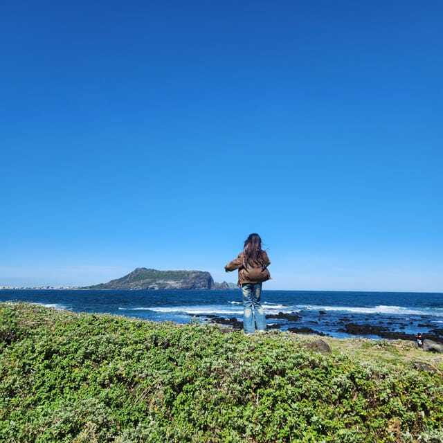 Jeju: Eastern Jeju UNESCO Spots Day Tour - What the guide and vehicle add