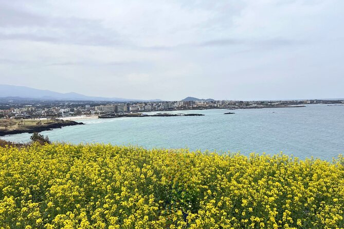 Jeju Eastern Must visit Unesco Spots Join In Tour - Seongsan Ilchulbong, Jeju’s volcanic landmark