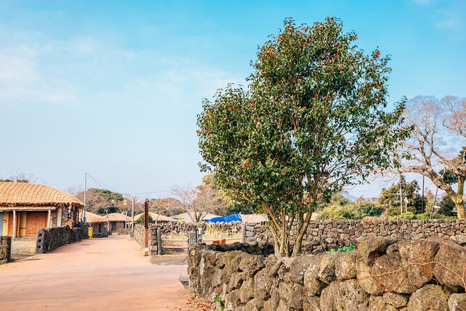 Jeju Eastern Must visit Unesco Spots Join In Tour - Dongmun Traditional Market as an optional finish