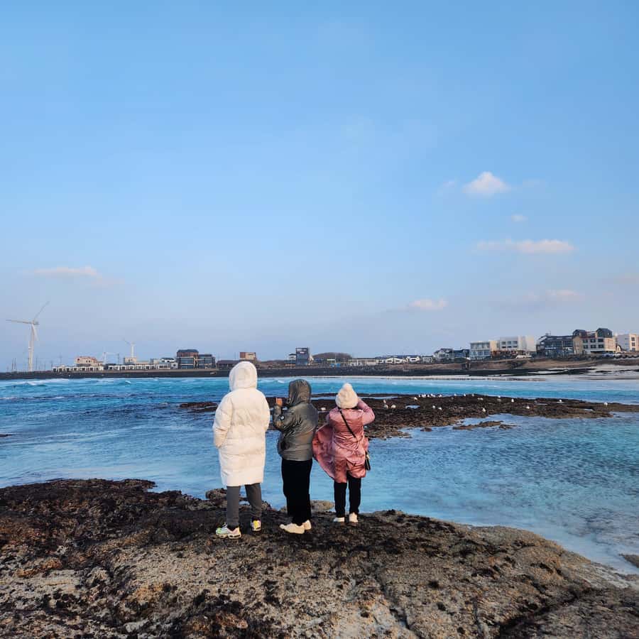 Jeju: Eastern UNESCO Join in Tour (Seongsan, Haenyeo) - Ilchul Land, plants, and volcanic formations