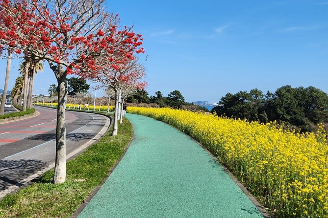 Jeju English Private Taxi Tour(1day, 2days, 3days & 1 to 12pax) - Why a private car makes sense on Jeju