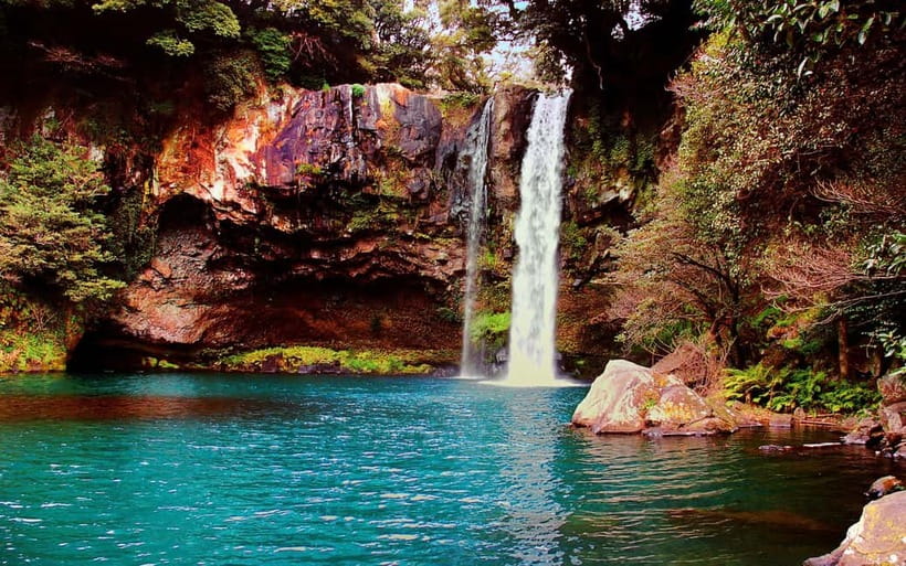 Jeju Highlights Day Trip (East Course) - Key points to know before booking