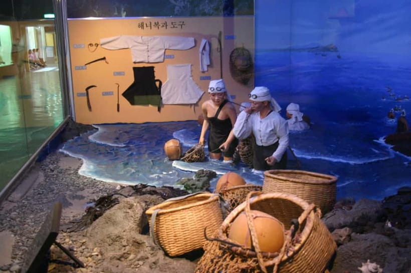Jeju Highlights Day Trip (East Course) - Saryeoni Forest, Jeju’s cool green opening