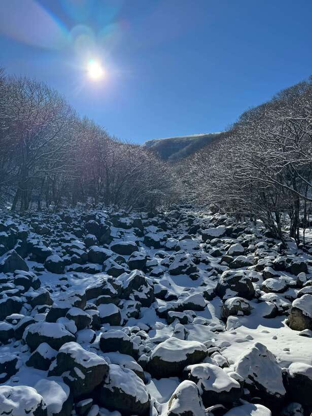 Jeju: Hiking Mt. Hallasan, South Korea's Highest Mountain - Key points at a glance