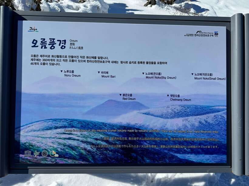 Jeju: Hiking Mt. Hallasan, South Korea's Highest Mountain - What the guide adds to the walk