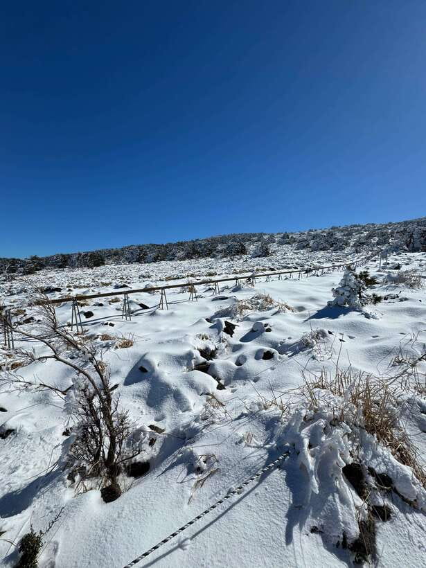 Jeju: Hiking Mt. Hallasan, South Korea's Highest Mountain - Is the $103 price good value?