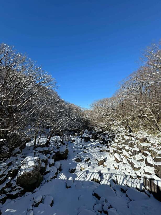 Jeju: Hiking Mt. Hallasan, South Korea's Highest Mountain - Who should book this Hallasan hike?