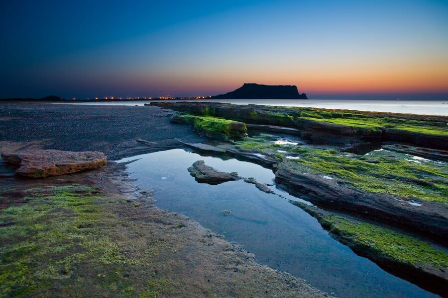 Jeju Island: Customized Private Full-Day Van Tour - A private route across Jeju, not a fixed bus circuit
