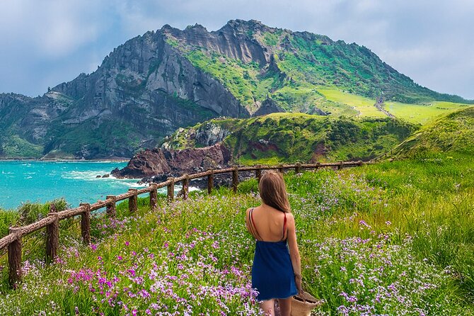 Jeju island Eastern UNESCO site Full Day Guided Tour - Seongeup Folk Village and old Jeju traditions